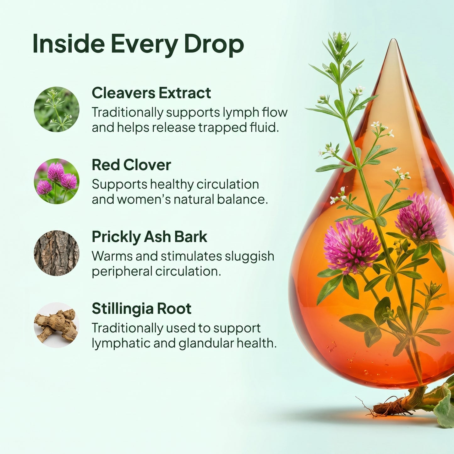 Lymphatic Drainage Drops